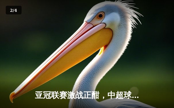 亚冠联赛激战正酣，中超球队力争小组出线，篮球与九球赛事亦精彩纷呈 - 2