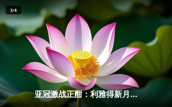 亚冠激战正酣：利雅得新月3-1完胜浦项制铁 巴西双星闪耀沙特 - 3